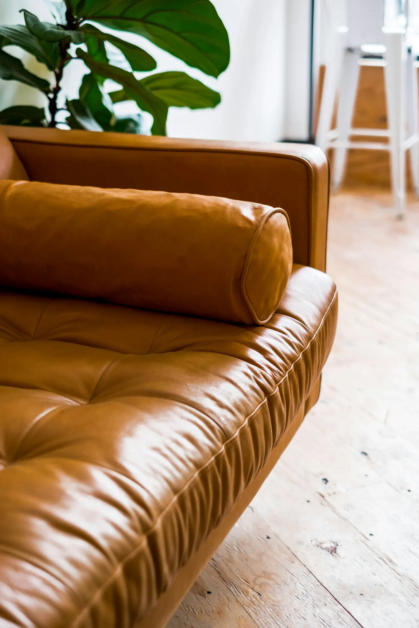 Calm interior with soft natural light | Mindwise Psychology, Bundoora